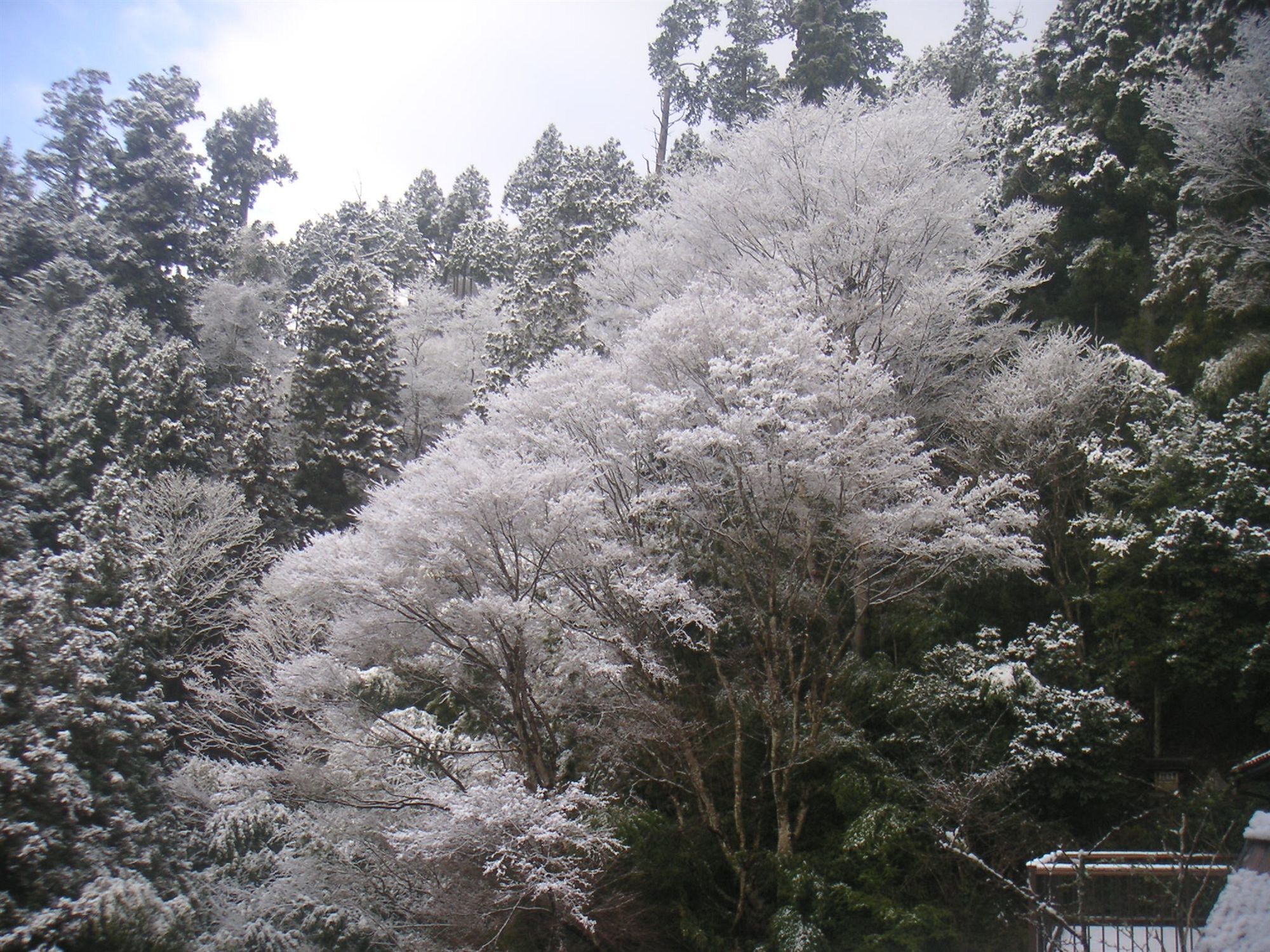 Shukubo Komadori-Sanso Ome Buitenkant foto